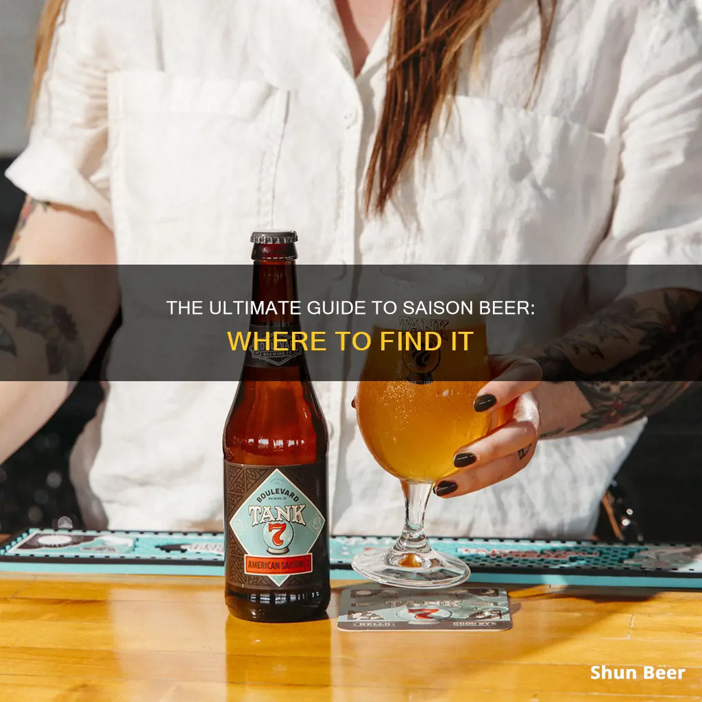 where to buy saison beer