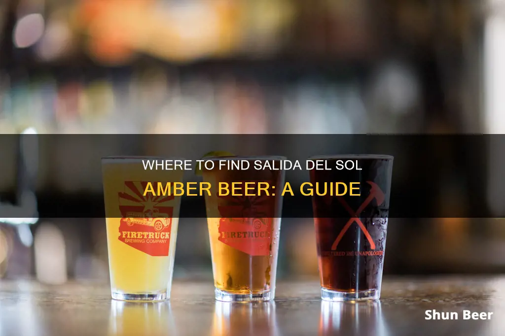 where to buy salida del sol amber beer