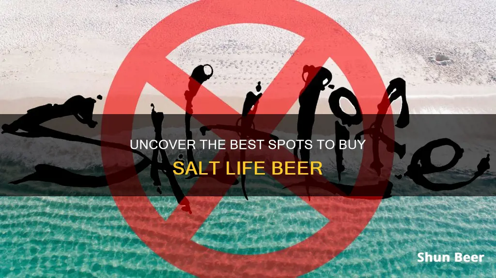 where to buy salt life beer