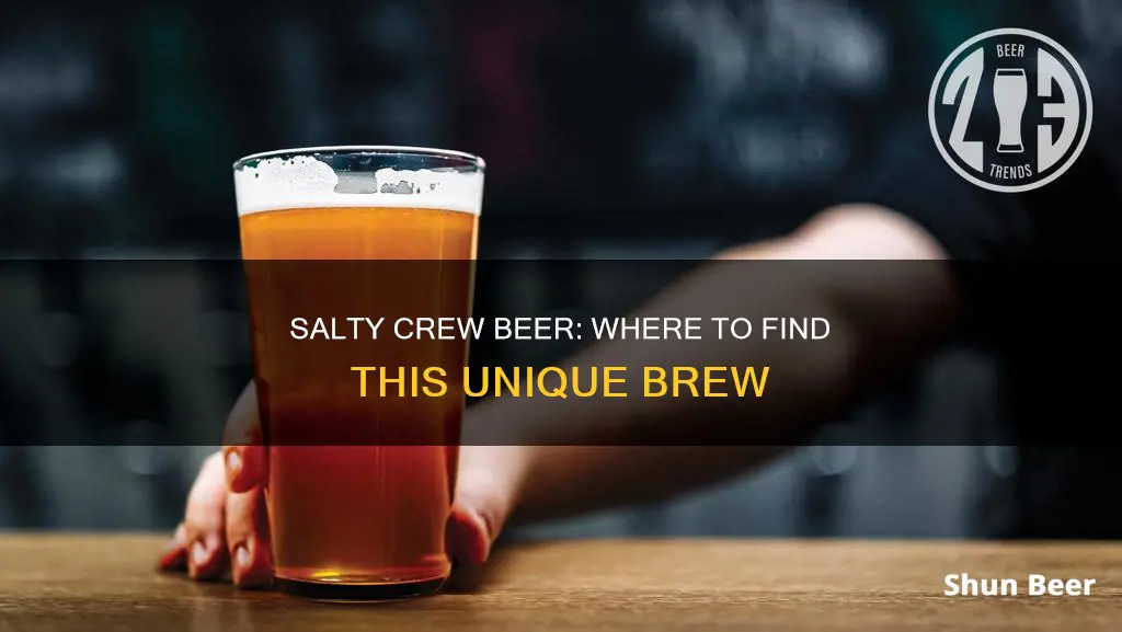 where to buy salty crew beer