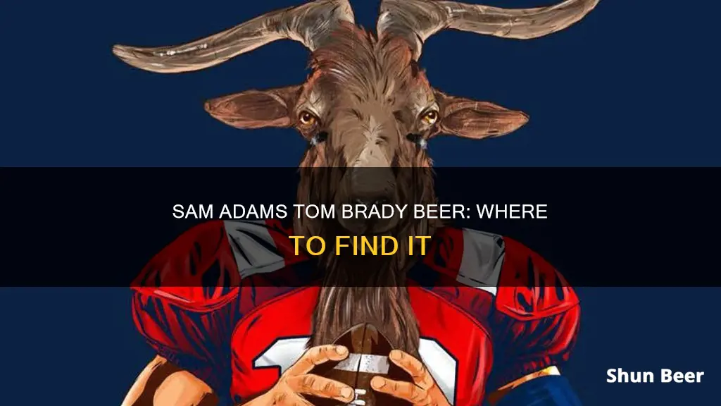 where to buy sam adams tom brady beer