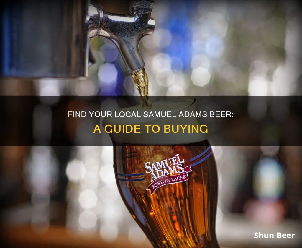 where to buy samuel adams beer