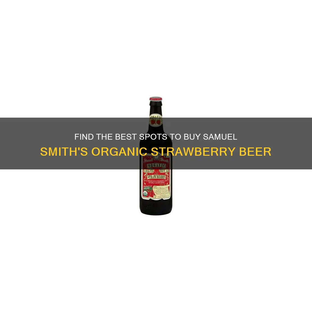 where to buy samuel smith organic strawberry beer