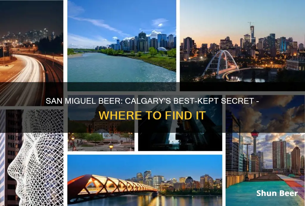 where to buy san miguel beer in calgary