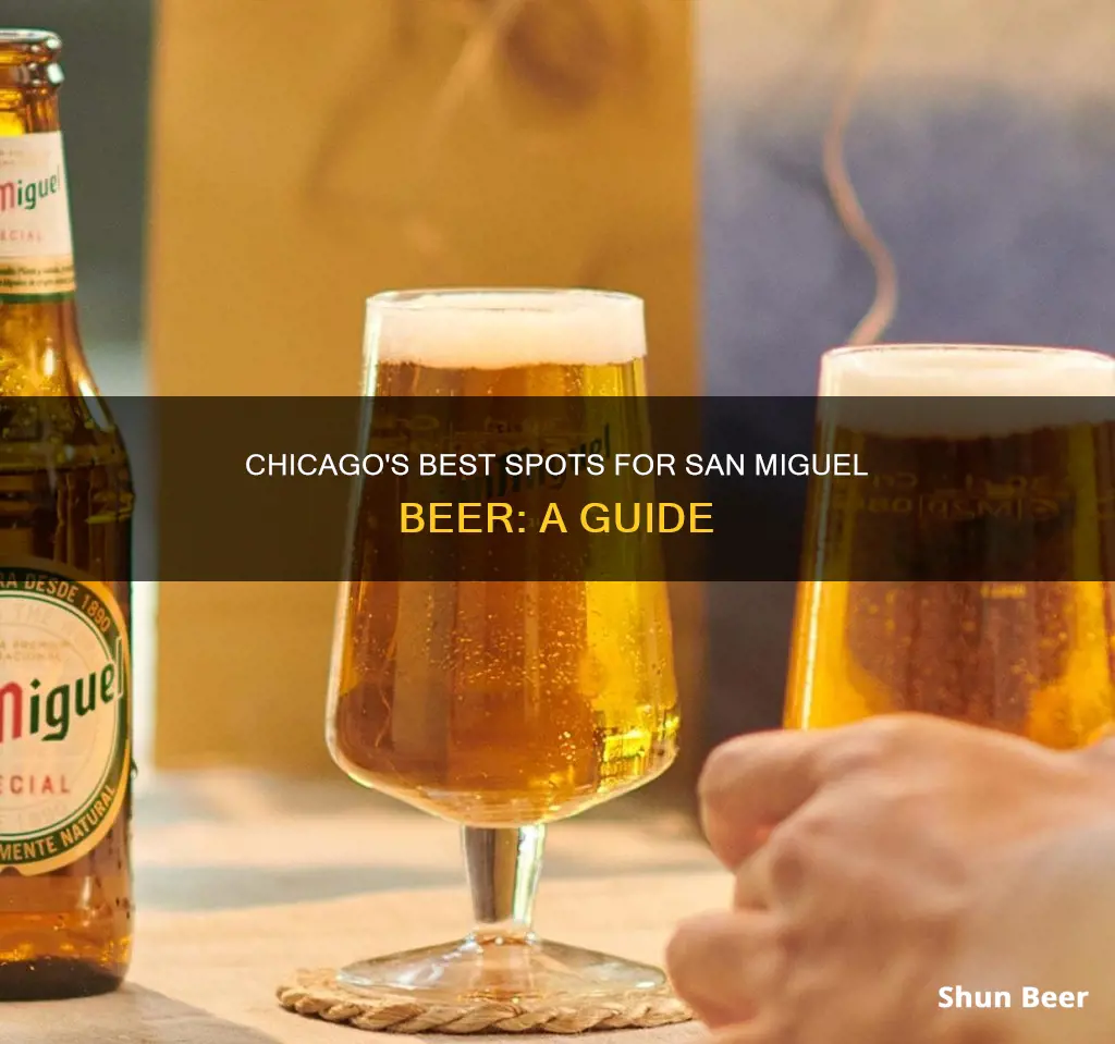 where to buy san miguel beer in chicago