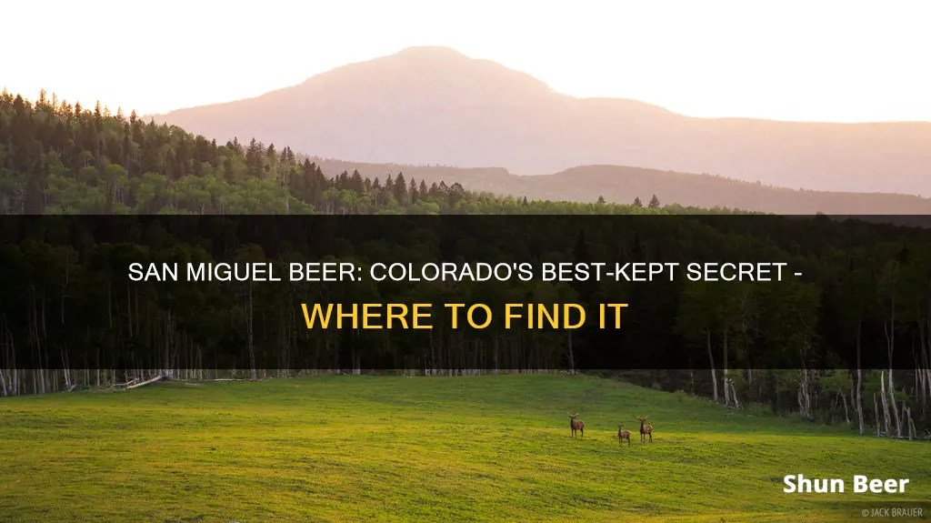 where to buy san miguel beer in colorado