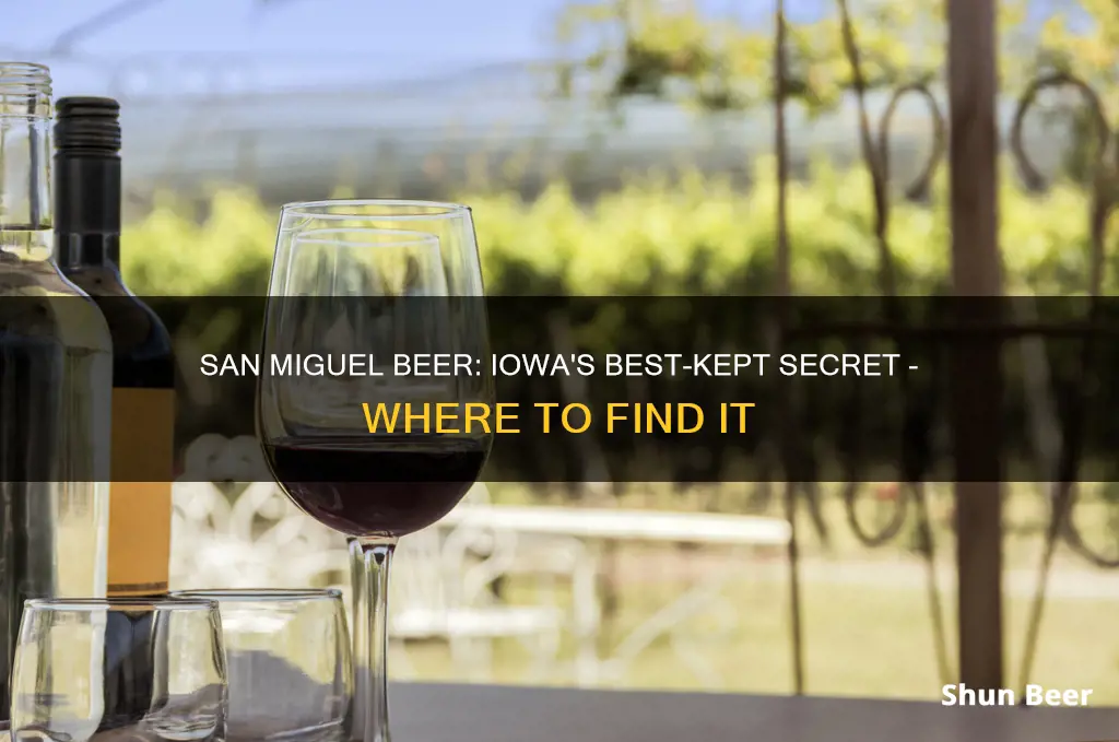 where to buy san miguel beer iowa