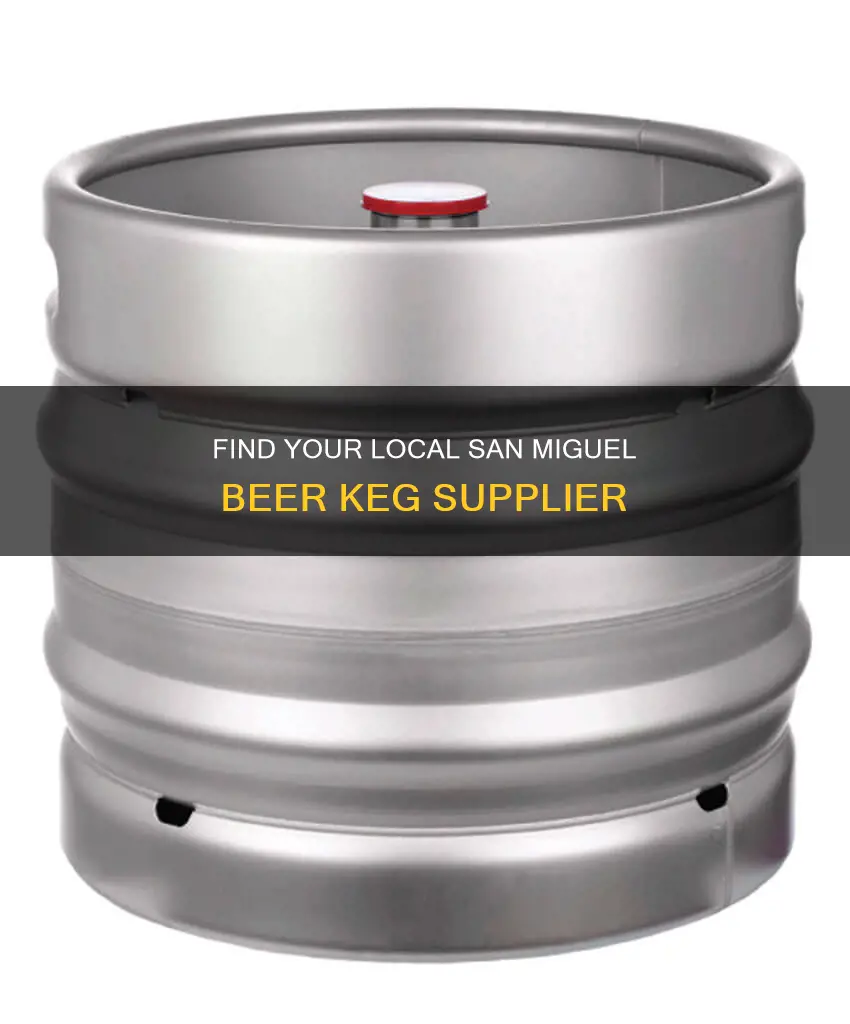 where to buy san miguel beer keg