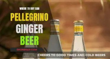 Find Your Sparkling Ginger Beer: San Pellegrino Shopping Guide