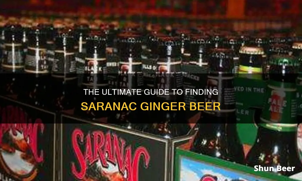 where to buy saranac ginger beer