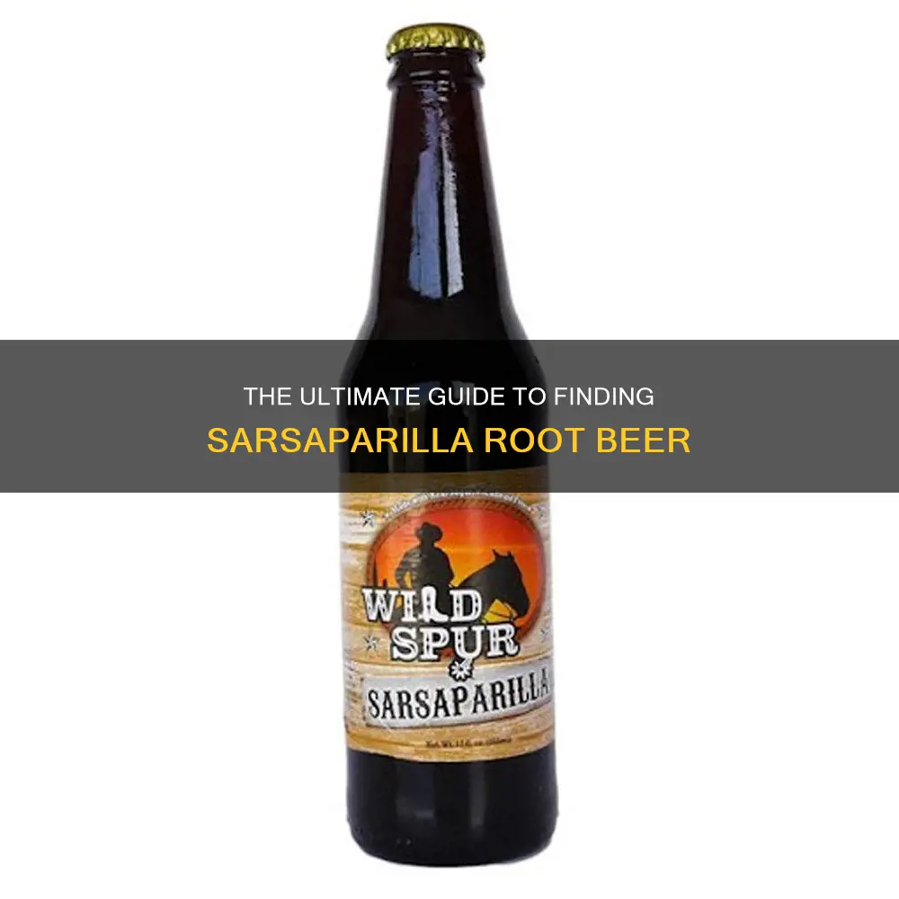 where to buy sarsaparilla root beer