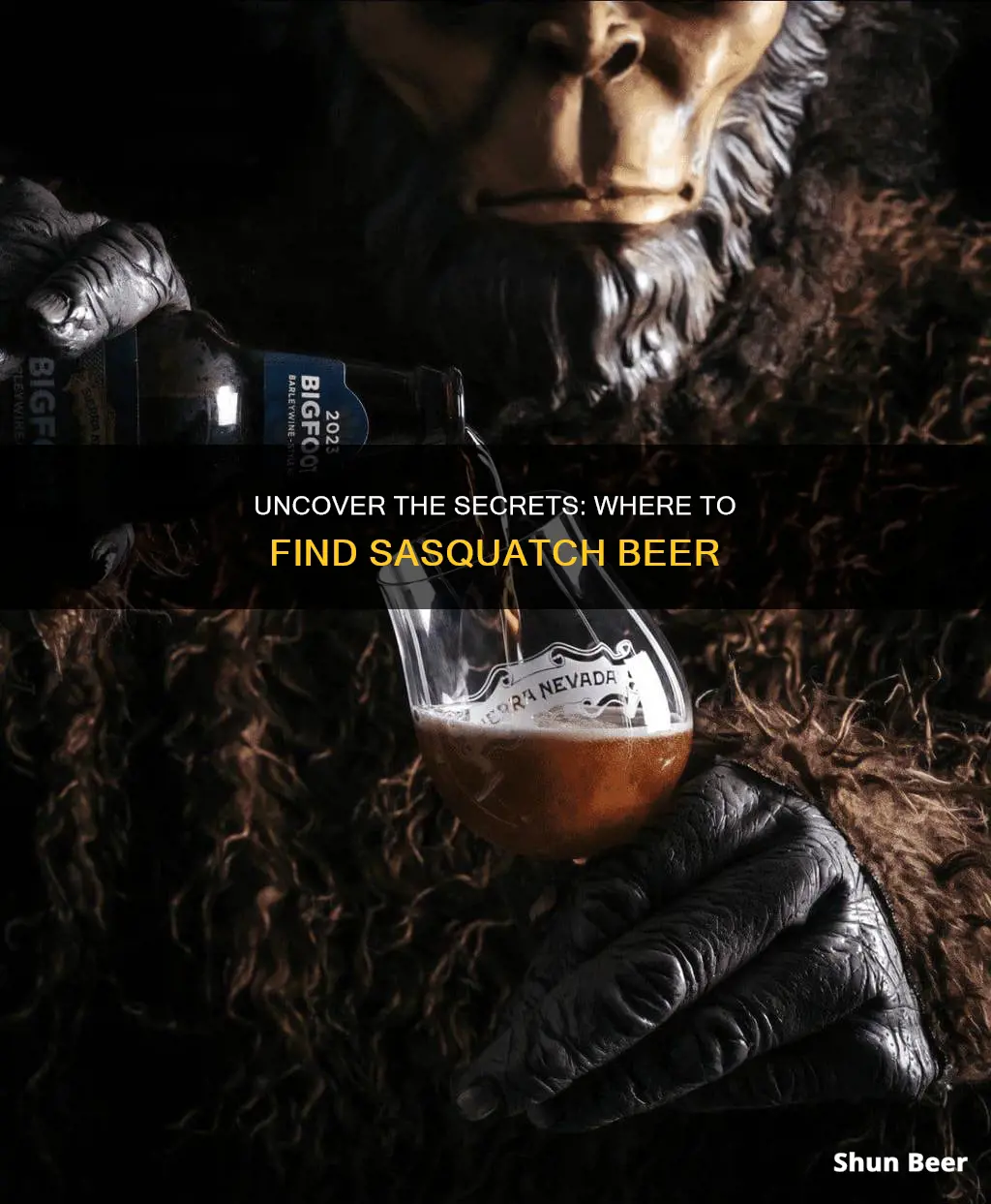 where to buy sasquatch beer