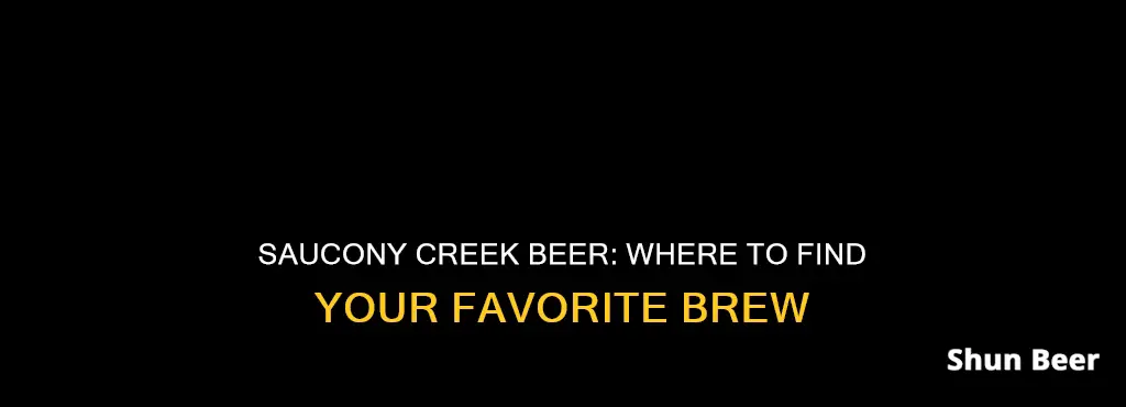 where to buy saucony creek beer