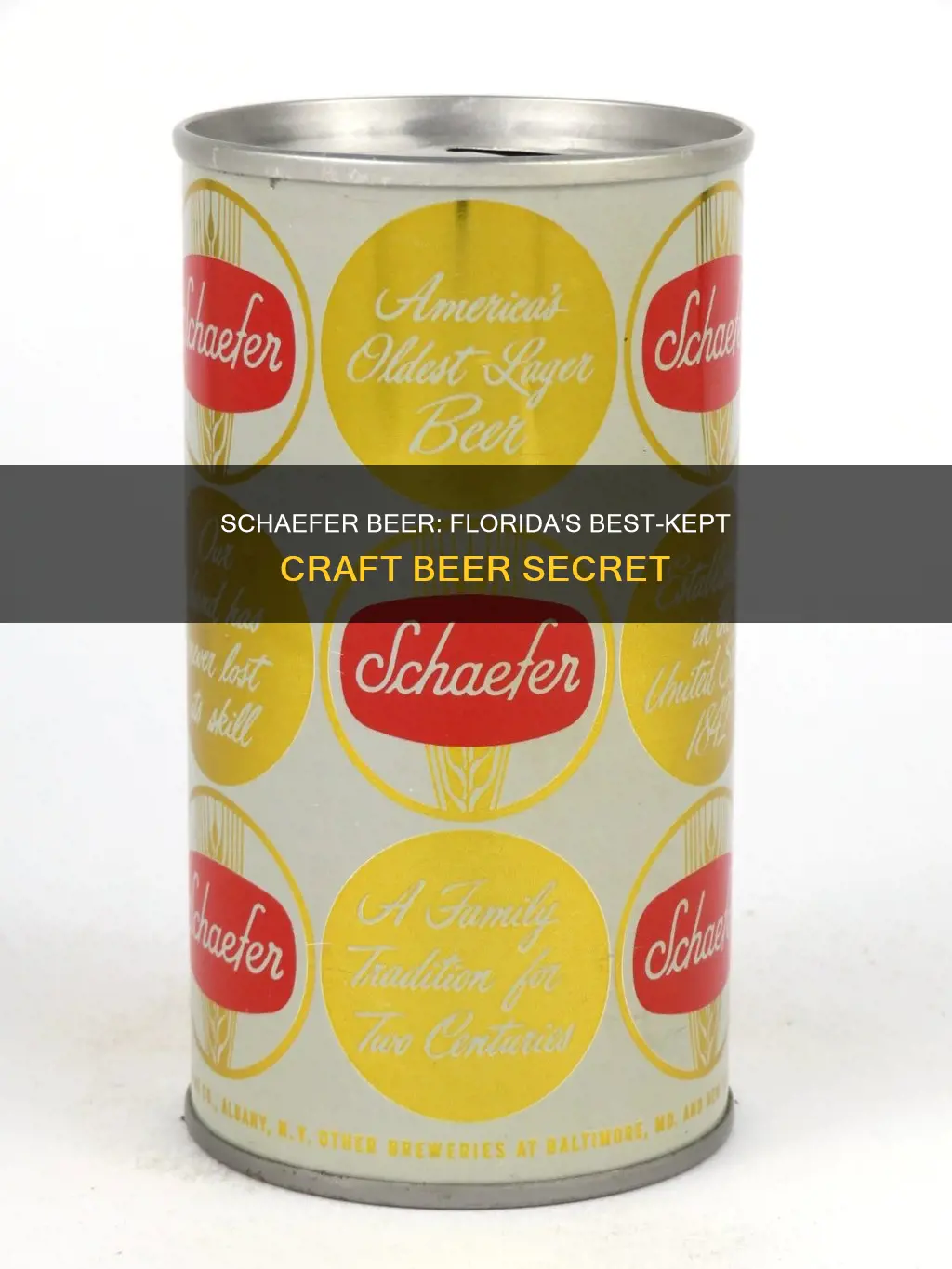 where to buy schaefer beer in florida