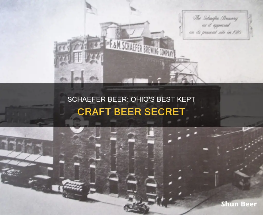 where to buy schaefer beer in ohio