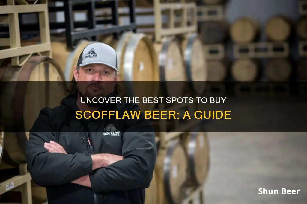 where to buy scofflaw beer