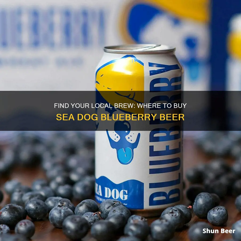 where to buy sea dog blueberry beer