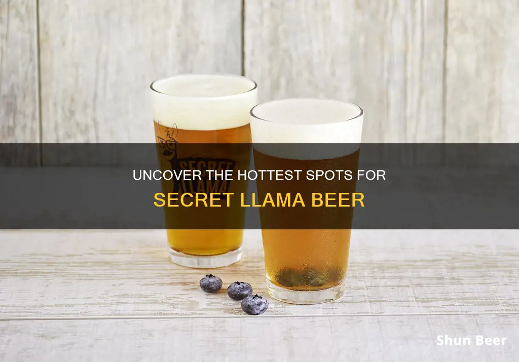 where to buy secret llama beer