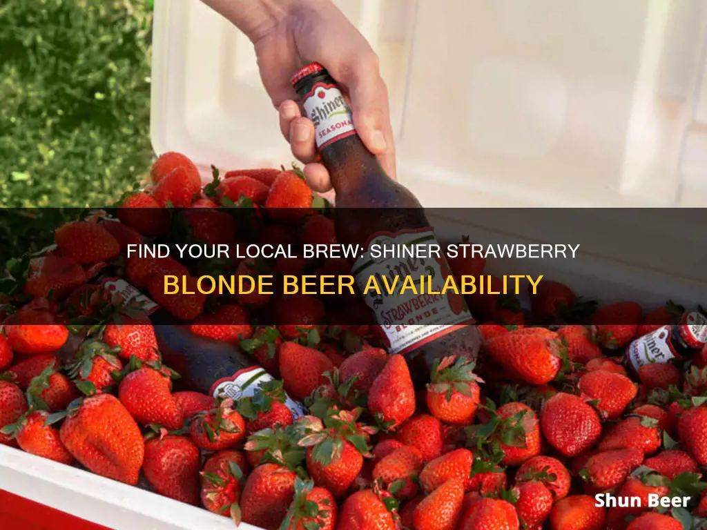 where to buy shiner strawberry blonde beer