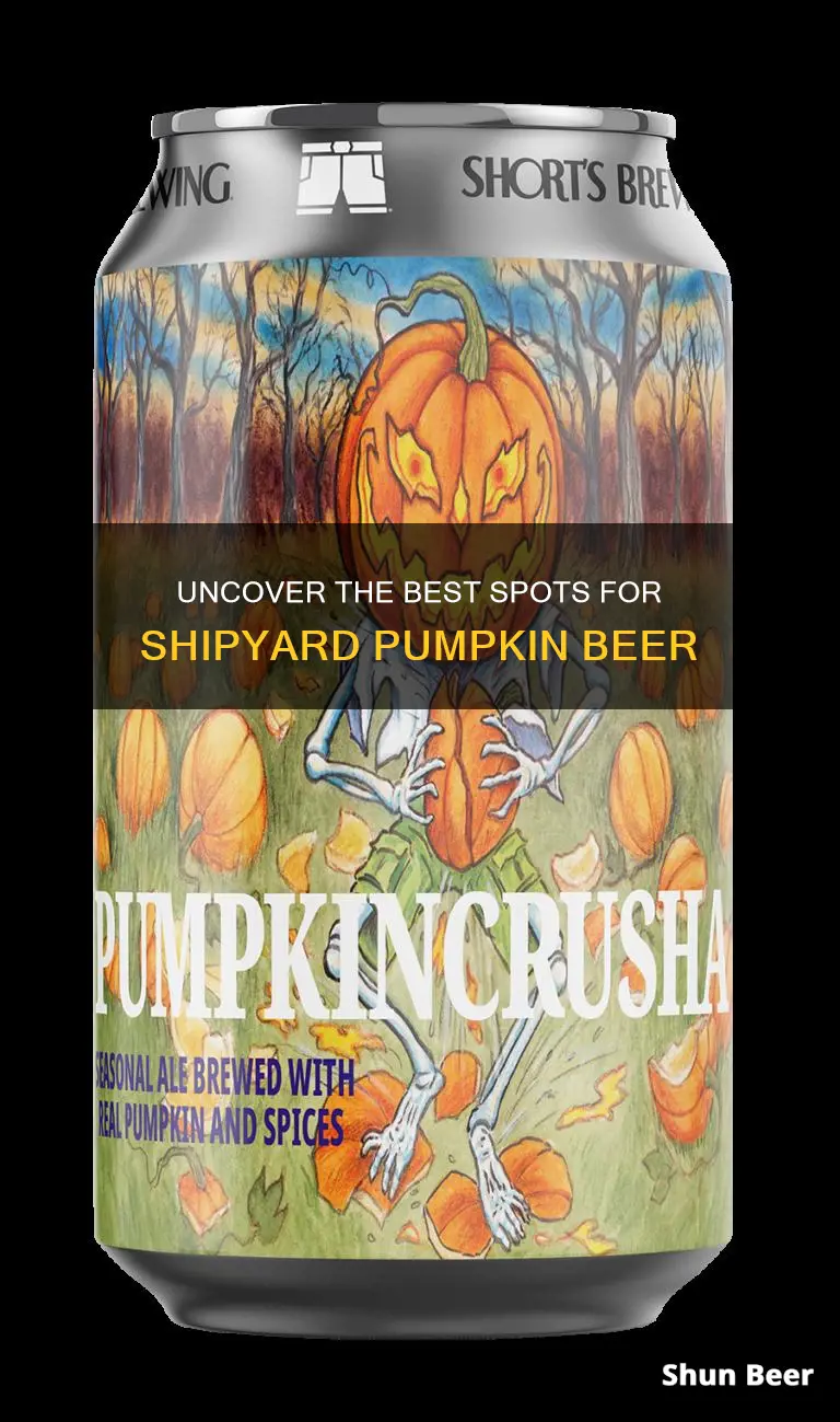 where to buy shipyard pumpkin beer