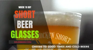 Cheap Short Beer Glasses: Best Sources for Your Bar