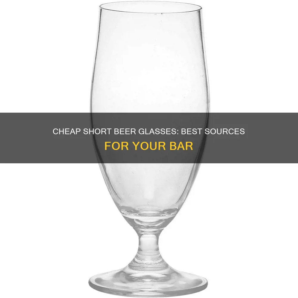 where to buy short beer glasses