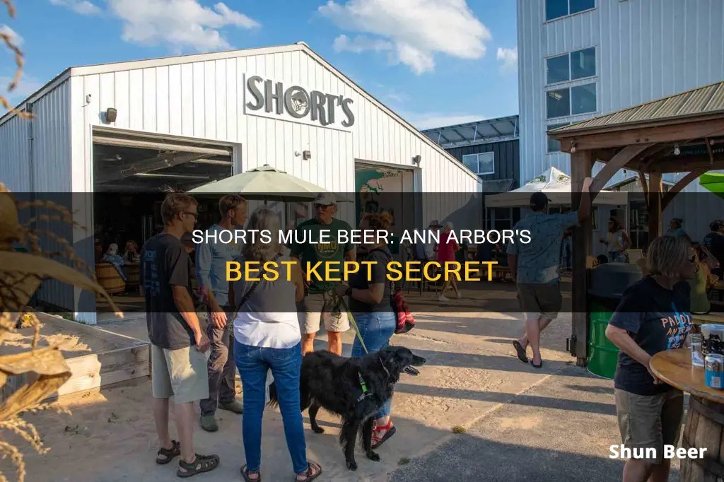 where to buy shorts mule beer ann arbor