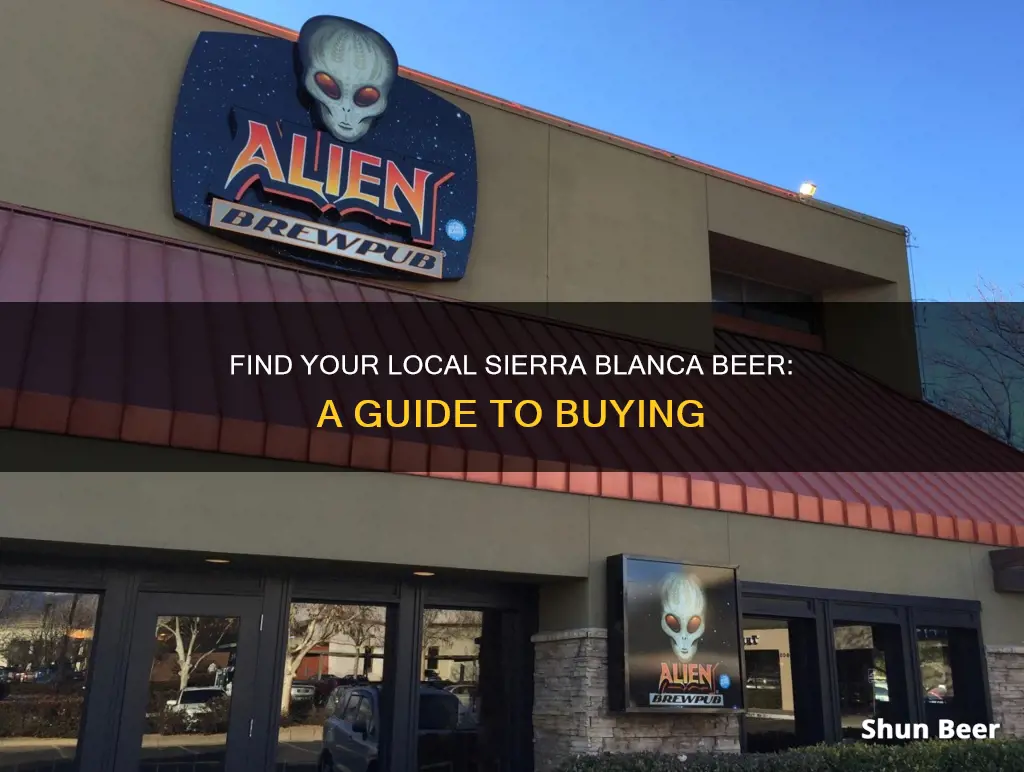 where to buy sierra blanca beer