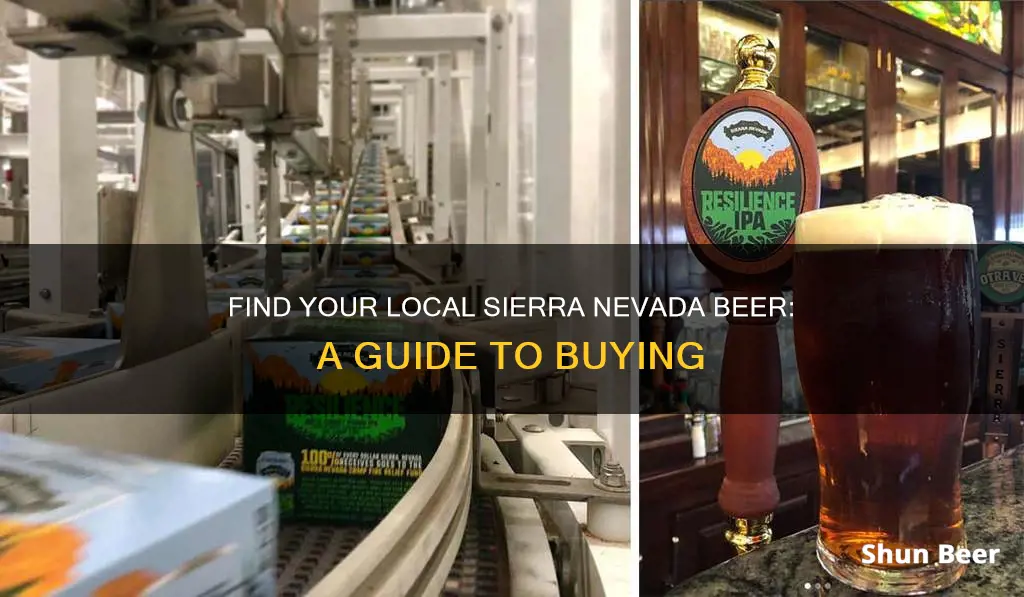 where to buy sierra nevada beer