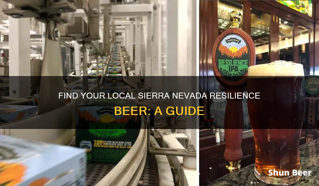 where to buy sierra nevada resilience beer