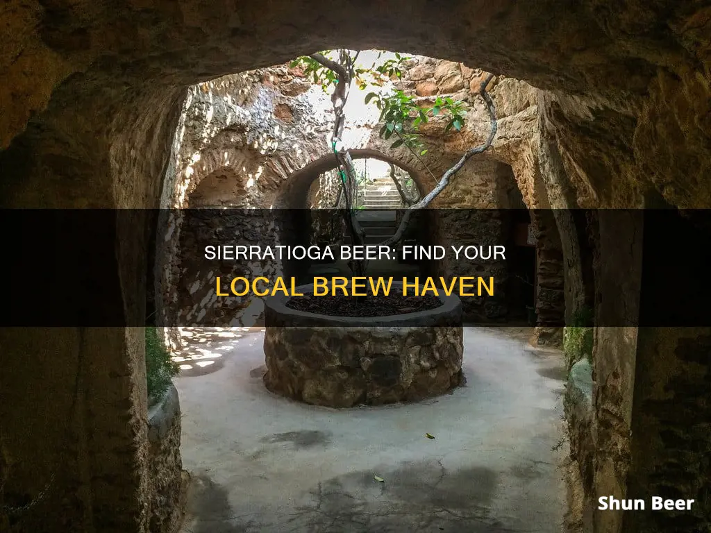 where to buy sierratioga beer