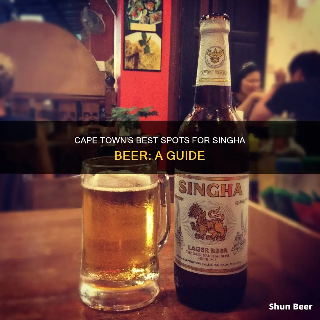 where to buy singha beer in cape town