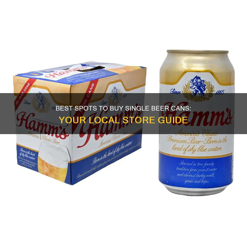 where to buy single beer cans