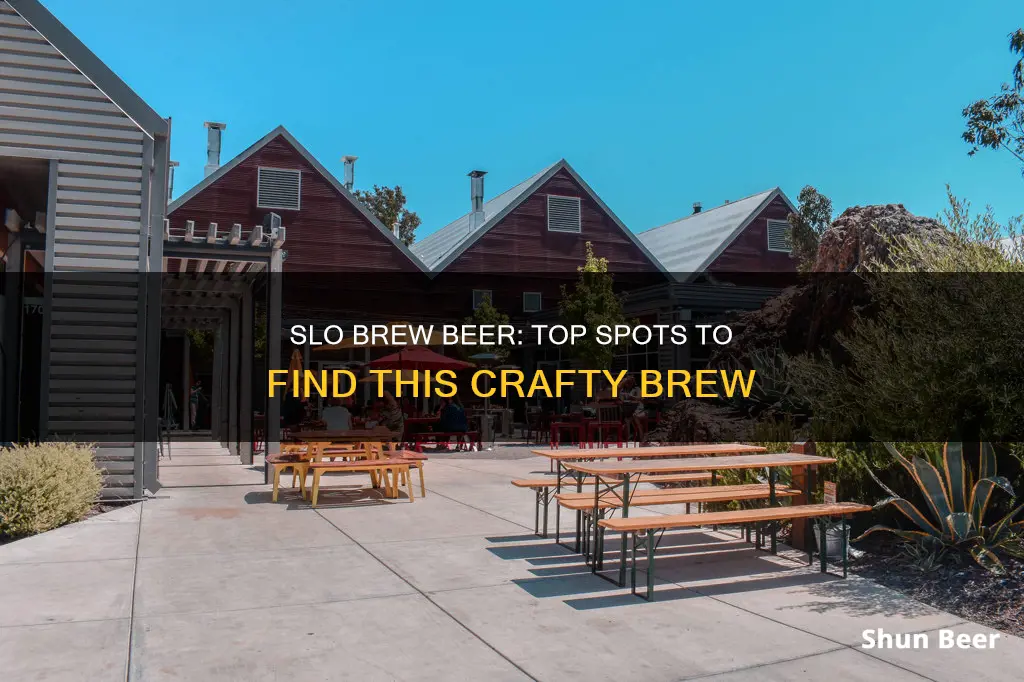 where to buy slo brew beer