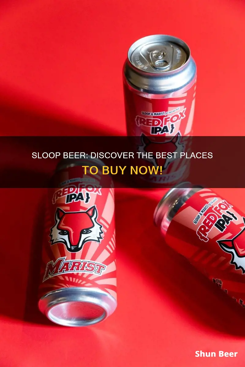 where to buy sloop beer