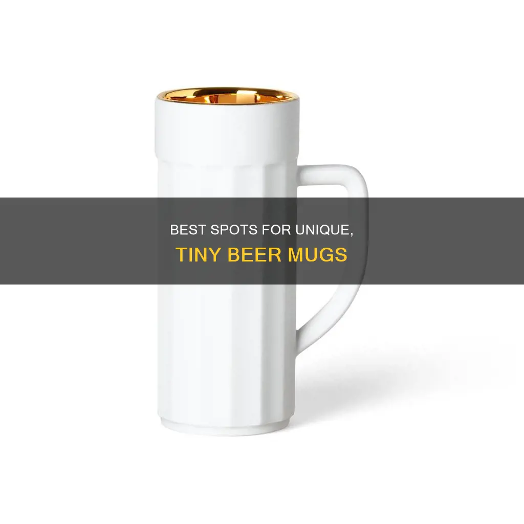 where to buy small beer mugs