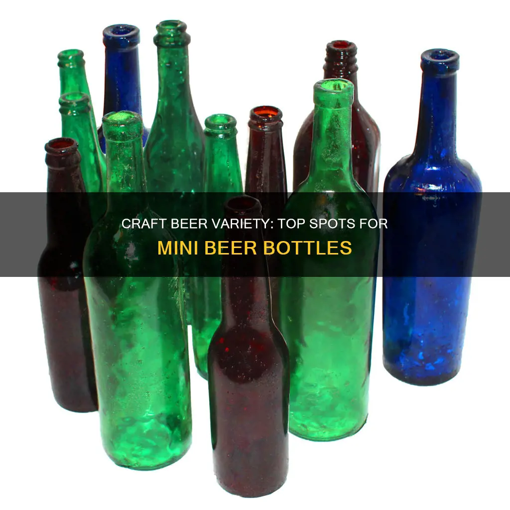 where to buy small bottles of beer