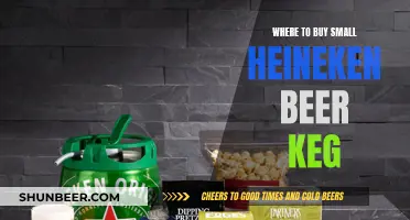 Small Heineken Kegs: Your Guide to Finding the Perfect Supplier