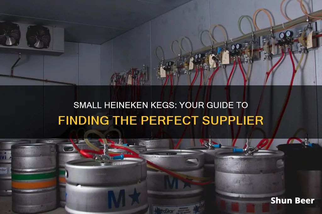 where to buy small heineken beer keg