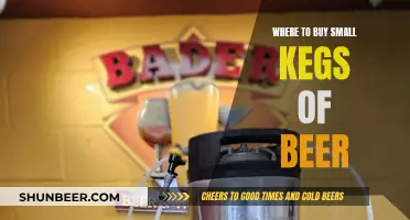 Best Places to Find Small Beer Kegs: A Guide