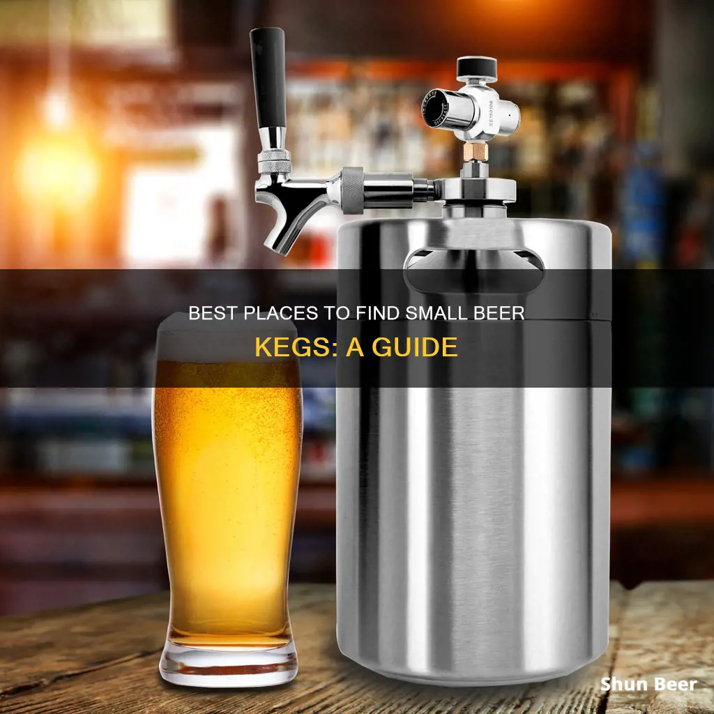 where to buy small kegs of beer