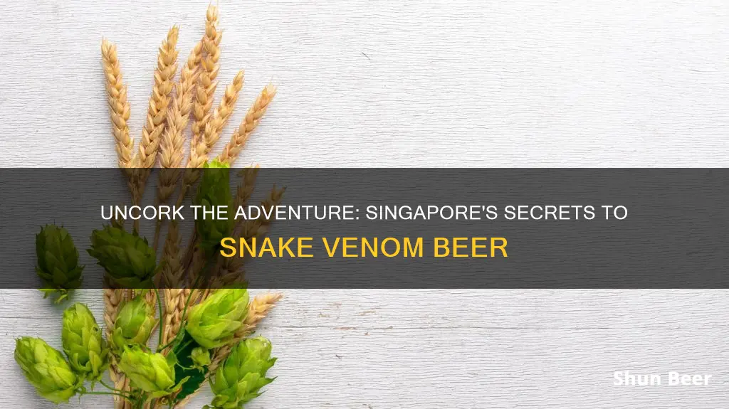 where to buy snake venom beer in singapore