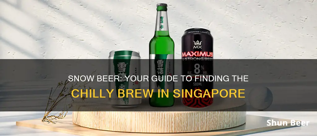 where to buy snow beer in singapore