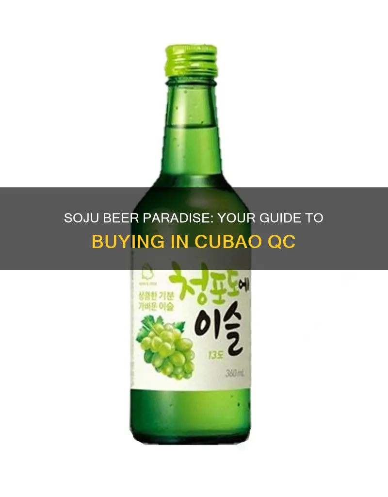 where to buy soju beer in cubao qc