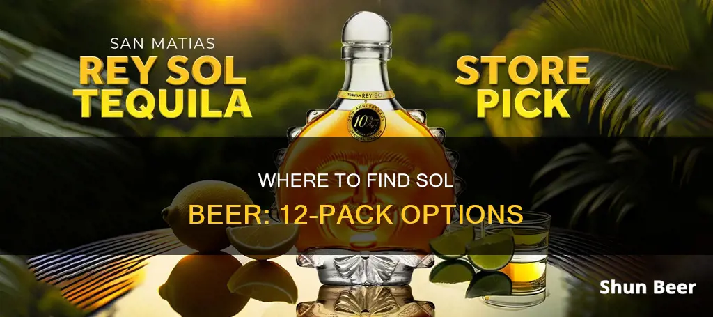 where to buy sol beer 12ct