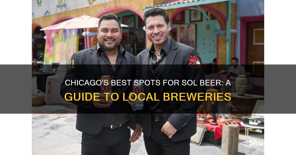 where to buy sol beer in chicago