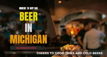 Find Your Brew: Michigan's Best Sol Beer Spots