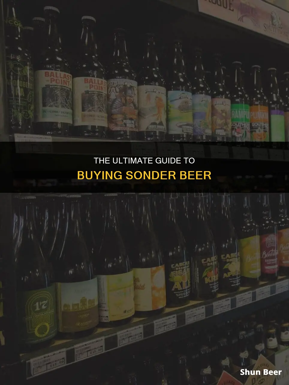 where to buy sonder beer