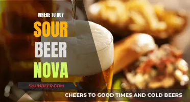 Sour Beer Nova: Top Sources for Your Fermented Adventure