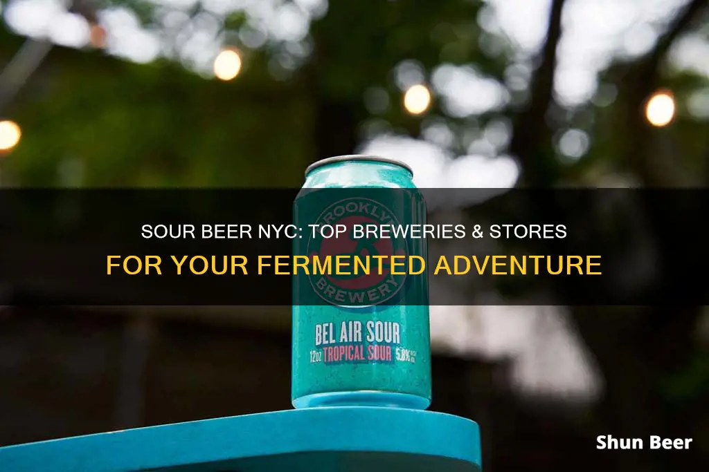 where to buy sour beer nyc